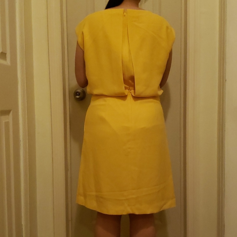 💫Banana Republic Cinch Waist Dress - Picture 4 of 7